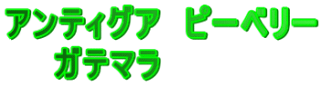 �A���e�B�O�A�@�s�[�x���[ �@�@�K�e�}���@